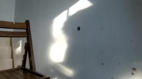 tec0vas online show from December 30, 2024, 8:25 pm