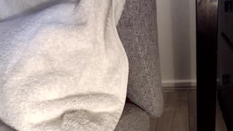 Snapshot of tedging2 chatting on January 28, 2025, 1:05 pm Tedging2 online show from January 28, 2025, 1:05 pm