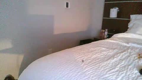 Snapshot of tfoolery34 chatting on February 24, 2026, 11:52 am tfoolery34 online show from February 24, 2026, 11:52 am