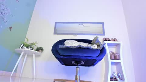 Thais online show from January 13, 2025, 12:45 pm