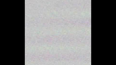 the_lesbian_game online show from October 19, 2025, 1:06 am