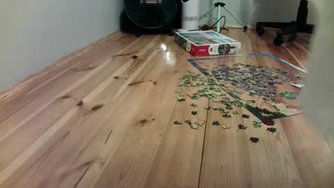 Snapshot of the_naked_pianists chatting on September 19, 2025, 9:26 pm Stephan 34 Cassandra 25 online show from September 19, 2025, 9:26 pm