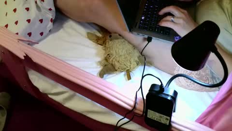 Stephan 34  Cassandra 25 online show from June 2, 2026, 8:44 pm