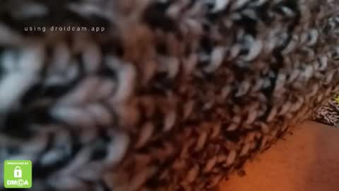 Snapshot of the_real_handjob_couple chatting on February 4, 2026, 11:49 am The Real Hanjob Couple online show from February 4, 2026, 11:49 am