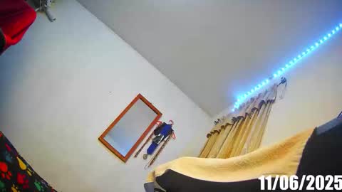 Snapshot of the_velvet_sandra chatting on November 7, 2025, 5:29 am Sandra 3 online show from November 7, 2025, 5:29 am