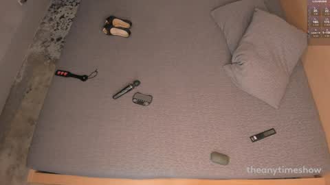 Snapshot of theanytimeshow chatting on December 29, 2024, 1:45 am Anny online show from December 29, 2024, 1:45 am