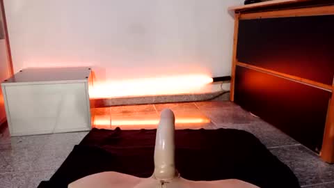 Snapshot of thebam1988 chatting on February 4, 2025, 3:22 am TheBam1988 online show from February 4, 2025, 3:22 am