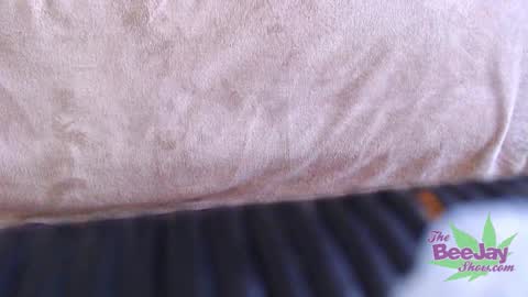 Snapshot of thebeejayshow chatting on December 4, 2024, 8:12 am TheBeeJayShow online show from December 4, 2024, 8:12 am