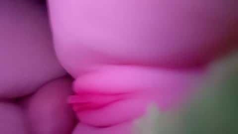 thebigcock4u222427 online show from May 30, 2026, 4:42 am