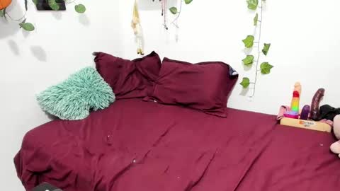 Ariamapola88 online show from January 30, 2025, 7:18 am