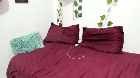 Ariamapola88 online show from February 5, 2025, 4:06 am