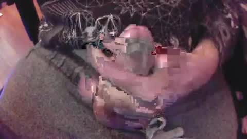 The Fox  The Cat online show from January 8, 2025, 6:31 pm