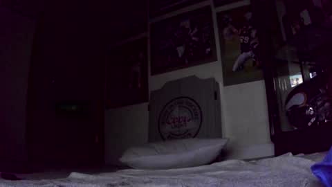 thegreat6268469 online show from January 31, 2025, 12:40 pm