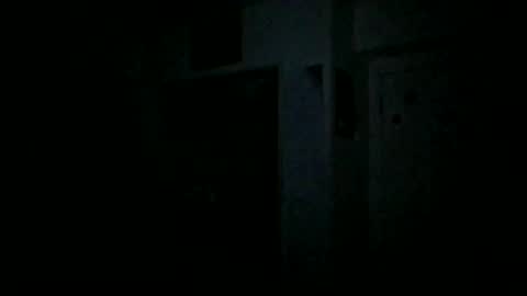 Snapshot of theguyss678 chatting on January 14, 2025, 1:04 am Arching4Life online show from January 14, 2025, 1:04 am