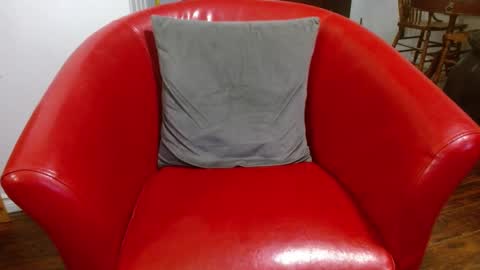 thekodyy online show from January 9, 2025, 1:56 pm