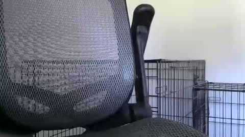 themaneb online show from October 23, 2025, 2:49 pm