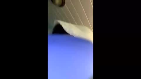 theonlyboi43ver online show from November 4, 2025, 3:33 pm