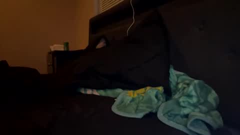 Snapshot of thepipe_layer chatting on November 16, 2025, 2:06 am ThePipe online show from November 16, 2025, 2:06 am