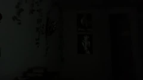 Snapshot of therealferrarii chatting on May 1, 2026, 4:06 am therealferrarii online show from May 1, 2026, 4:06 am
