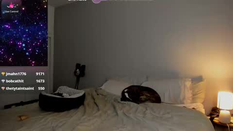 Snapshot of theselina_kyle chatting on January 24, 2025, 8:13 am Selina Kyle online show from January 24, 2025, 8:13 am