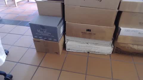 Snapshot of thesneakysqueeker chatting on March 1, 2025, 9:07 am Peter online show from March 1, 2025, 9:07 am