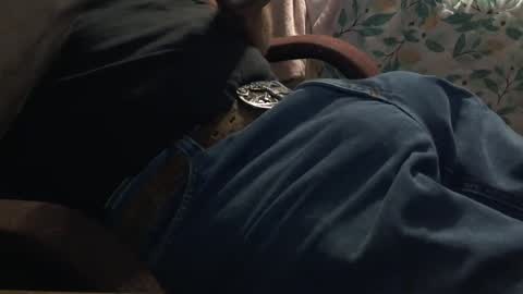 thetnguy online show from October 6, 2025, 12:24 pm