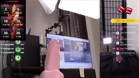 The Willow Fox online show from January 28, 2025, 9:08 pm