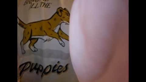 ThisIsFuckingFun online show from March 4, 2025, 7:19 am