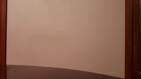 Snapshot of thongsandstockings chatting on November 25, 2025, 11:16 pm Thongsandstocking online show from November 25, 2025, 11:16 pm