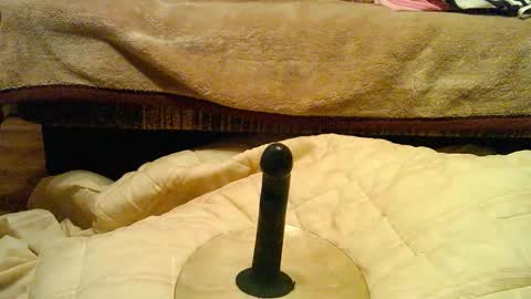 Snapshot of thongsandstockings chatting on December 1, 2025, 11:21 pm Thongsandstocking online show from December 1, 2025, 11:21 pm