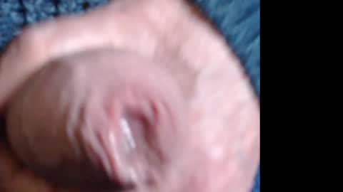 threephase323 online show from April 18, 2026, 6:34 pm