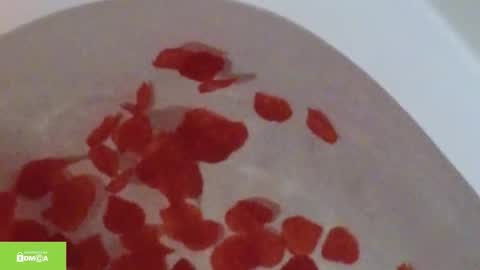 Snapshot of tia_j chatting on October 12, 2025, 11:20 am tia_j online show from October 12, 2025, 11:20 am