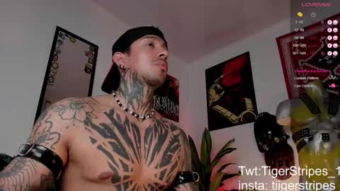 Chris online show from March 24, 2026, 2:55 pm