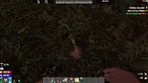 Snapshot of timlooking1 chatting on February 15, 2025, 8:22 am TimLooking online show from February 15, 2025, 8:22 am