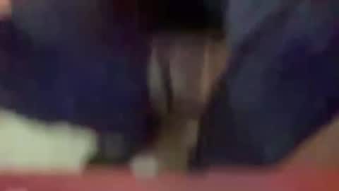 Timplaw online show from January 3, 2025, 3:33 pm