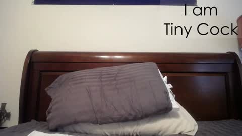 Snapshot of tinycock_1979 chatting on February 20, 2025, 2:35 pm tinycock_1979 online show from February 20, 2025, 2:35 pm