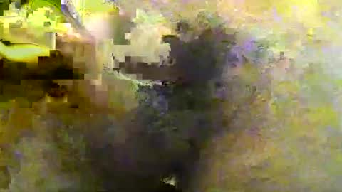 Tirius Barkhan online show from November 30, 2025, 6:45 pm