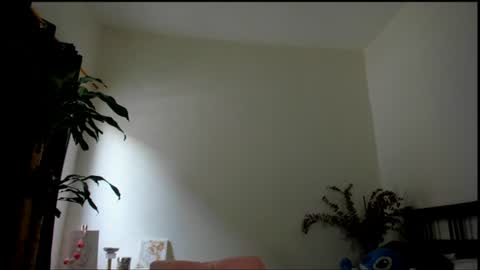 Snapshot of tokyo_girls chatting on July 27, 2026, 5:09 pm Tokyo online show from July 27, 2026, 5:09 pm