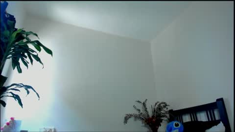Snapshot of tokyo_girls chatting on July 28, 2026, 7:39 pm Tokyo online show from July 28, 2026, 7:39 pm