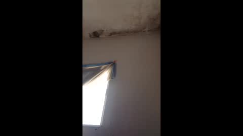 Snapshot of tolenevelyn46 chatting on June 3, 2026, 10:04 pm tolenevelyn46 online show from June 3, 2026, 10:04 pm
