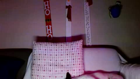 tomas gerauld. make me happy with 10000 tokens online show from December 30, 2024, 3:14 am