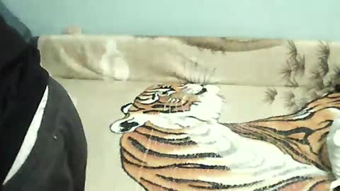 Tomek online show from December 31, 2024, 5:18 pm