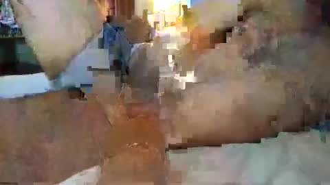tommydomuk online show from June 4, 2026, 7:03 am