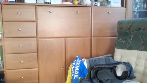 Tommy online show from January 19, 2025, 8:50 am