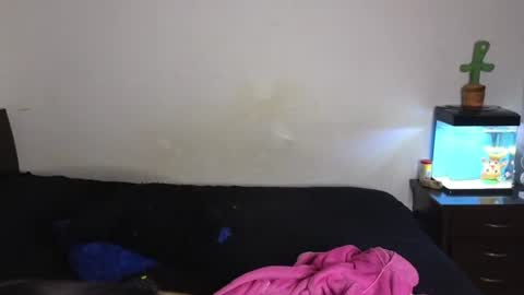 Sophia  Tony online show from July 7, 2026, 12:02 am