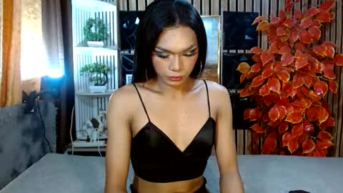 Snapshot of toptrans_venice chatting on February 20, 2026, 6:26 am toptrans venice online show from February 20, 2026, 6:26 am