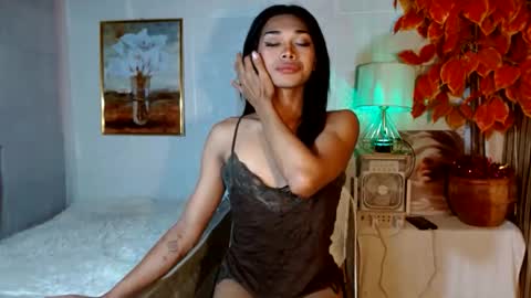 toptrans venice online show from April 17, 2026, 12:57 am