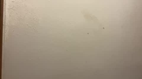 Snapshot of toronto5656 chatting on February 5, 2025, 3:20 pm toronto5656 online show from February 5, 2025, 3:20 pm