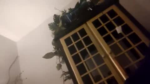 Snapshot of trans167456 chatting on December 19, 2025, 9:49 am trans167456 online show from December 19, 2025, 9:49 am