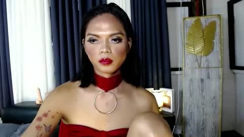 transsitips online show from December 5, 2025, 2:58 pm